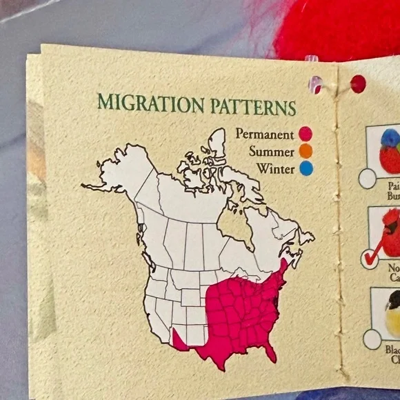 SINGING BIRD, PLAYS REAL BIRD CALLS, RED CARDINAL, 6 L x 4 ½ W x 4 ¾ H INCH PLUS - Picture 11 of 16